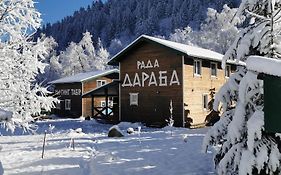 Рада Дараба